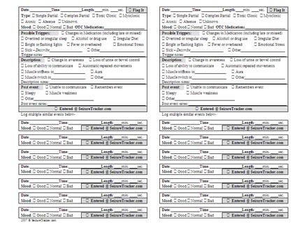 Seizure Documentation Chart